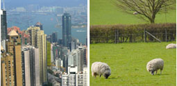 The differences between city life and country life essay