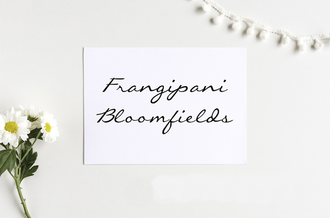 Real Life Minimalists: Frangipani Bloomfields