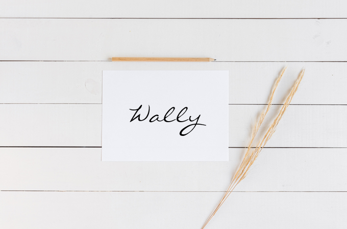 Real Life Minimalists: Wally