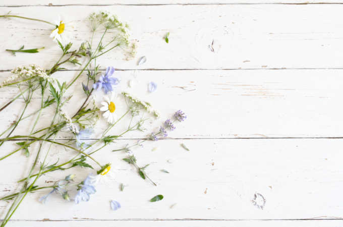 How a Minimalist Loses a Vase